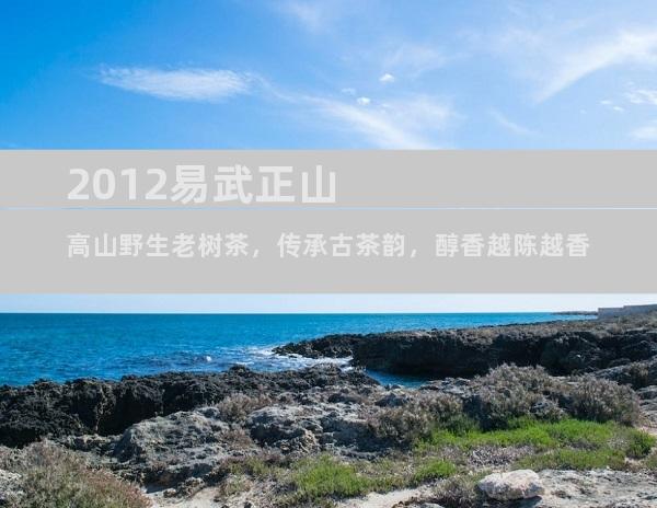 2012易武正山高山野生老树茶，传承古茶韵，醇香越陈越香