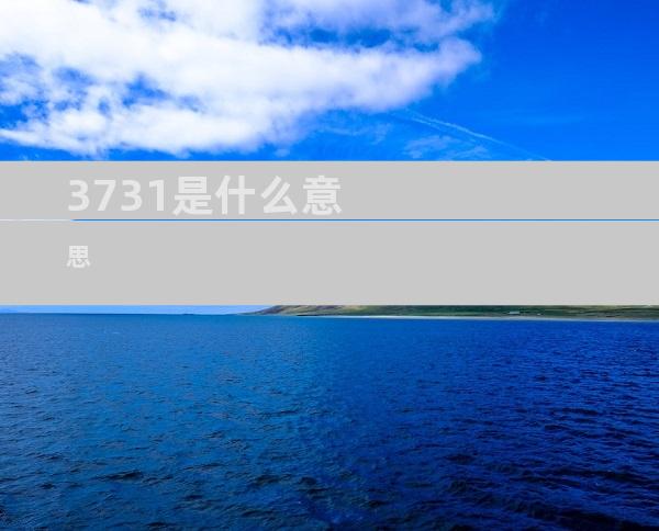 3731是什么意思