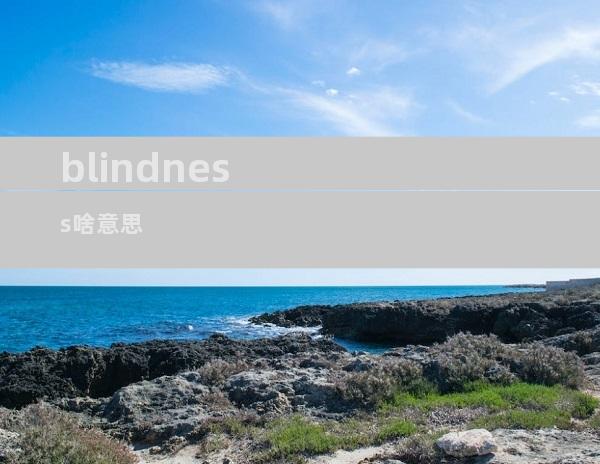blindness啥意思
