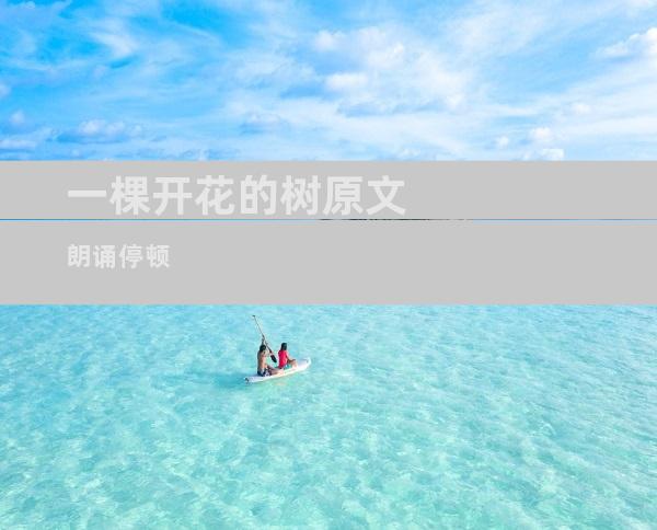 一棵开花的树原文朗诵停顿