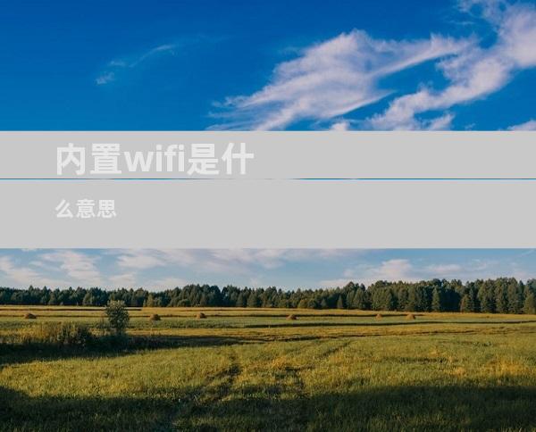 内置wifi是什么意思