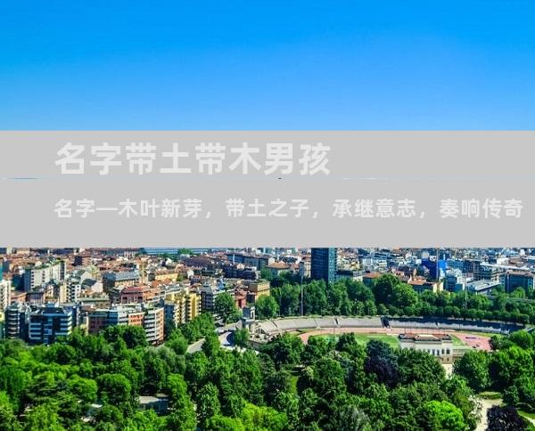 名字带土带木男孩名字—木叶新芽，带土之子，承继意志，奏响传奇