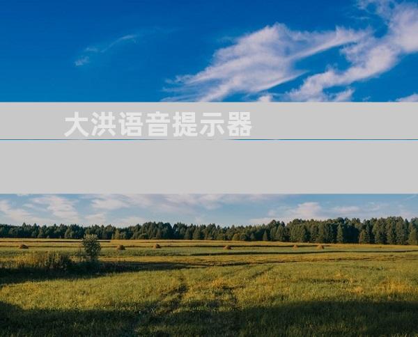 大洪语音提示器