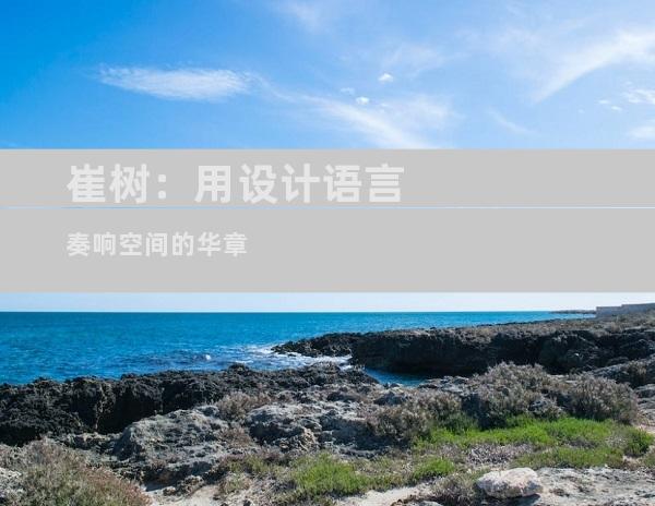 崔树：用设计语言奏响空间的华章