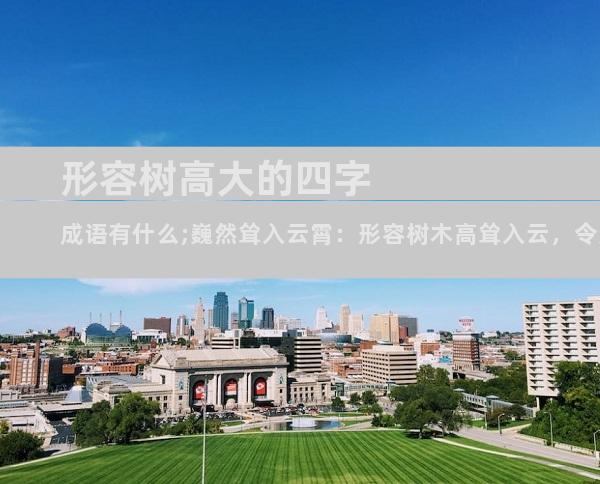 形容树高大的四字成语有什么;巍然耸入云霄：形容树木高耸入云，令人仰望