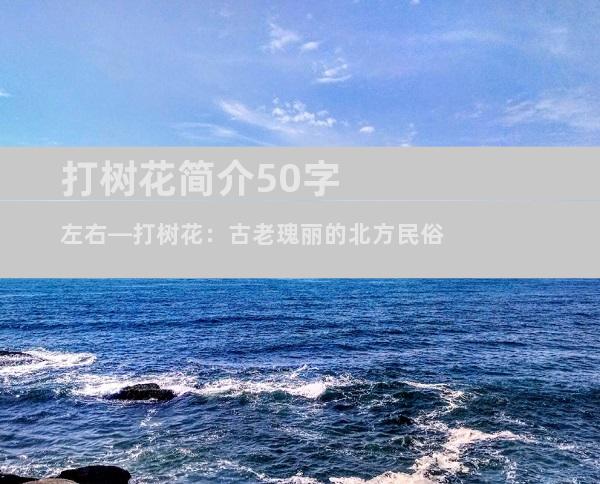 打树花简介50字左右—打树花：古老瑰丽的北方民俗