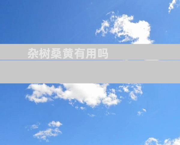 杂树桑黄有用吗