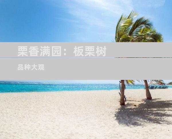 栗香满园：板栗树品种大观