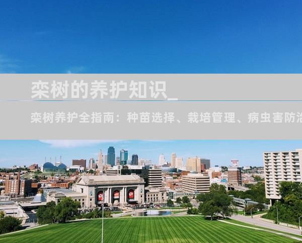 栾树的养护知识_栾树养护全指南：种苗选择、栽培管理、病虫害防治