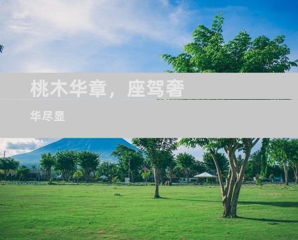 桃木华章，座驾奢华尽显