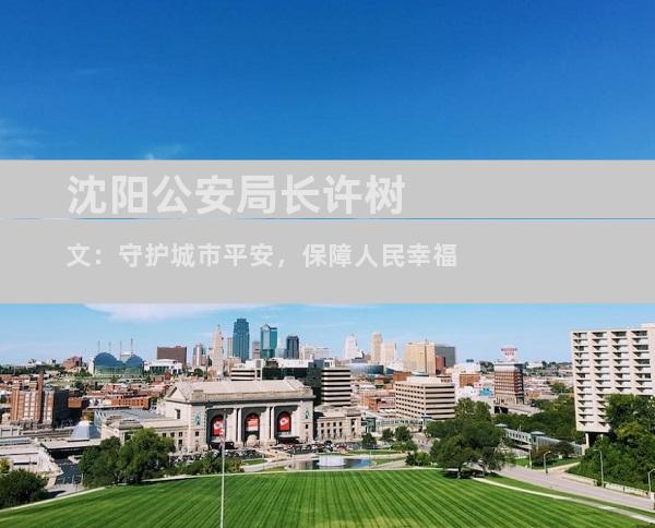 沈阳公安局长许树文：守护城市平安，保障人民幸福