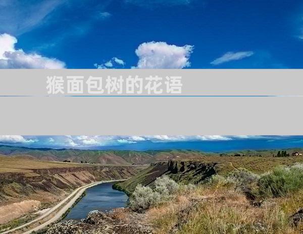 猴面包树的花语