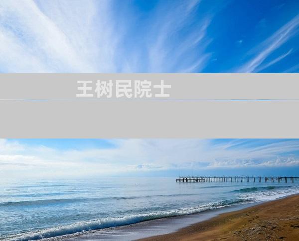 王树民院士