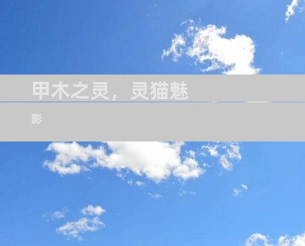 甲木之灵，灵猫魅影