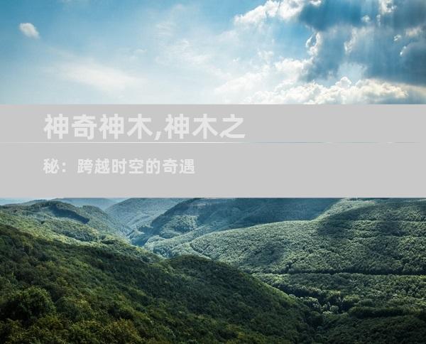 神奇神木,神木之秘：跨越时空的奇遇