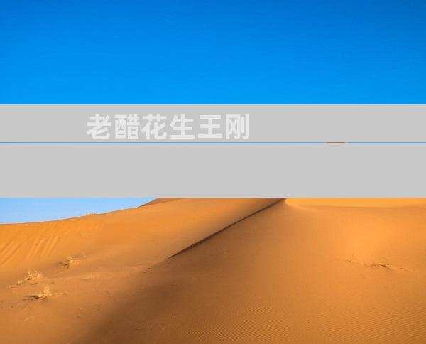 老醋花生王刚