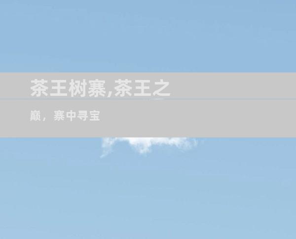 茶王树寨,茶王之巅，寨中寻宝