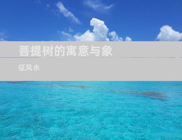 菩提树的寓意与象征风水