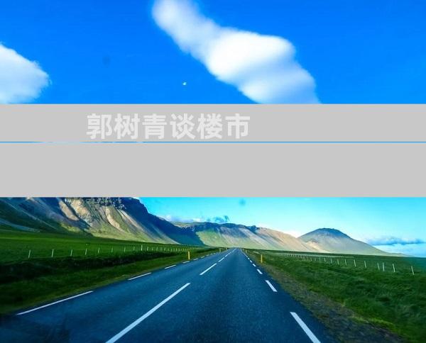 郭树青谈楼市