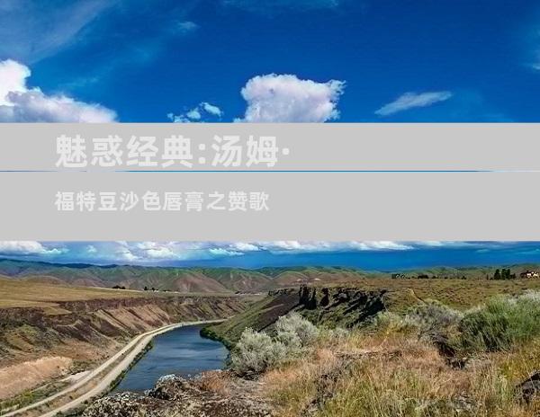 魅惑经典:汤姆·福特豆沙色唇膏之赞歌