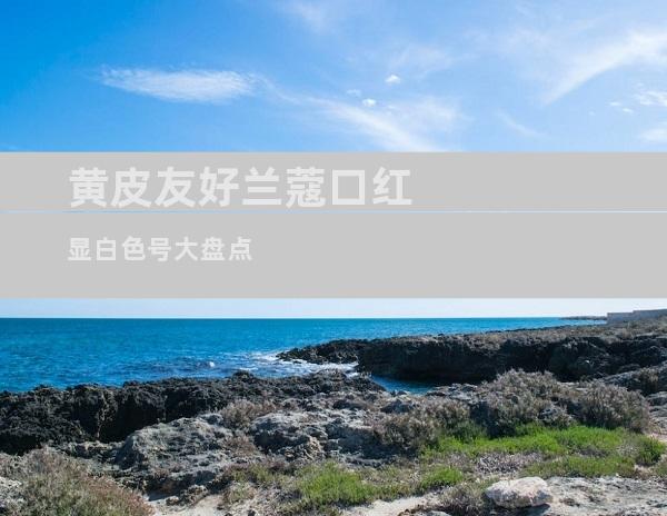 黄皮友好兰蔻口红显白色号大盘点