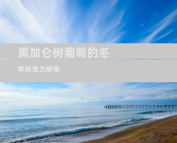 黑加仑树葡萄的冬季耐受力解答
